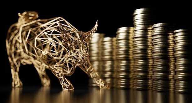 bull in front of coins