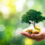 hand holding tree growing out of money signifying financial growth